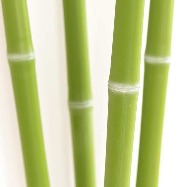 Synthetic bamboo KHW